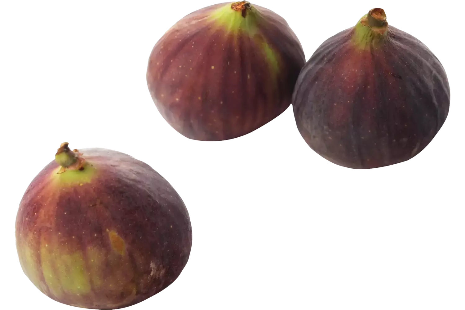 Vijgen verpakt 3st stuk 1
