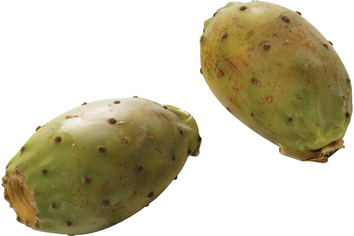Cactus vijgen stuk 1