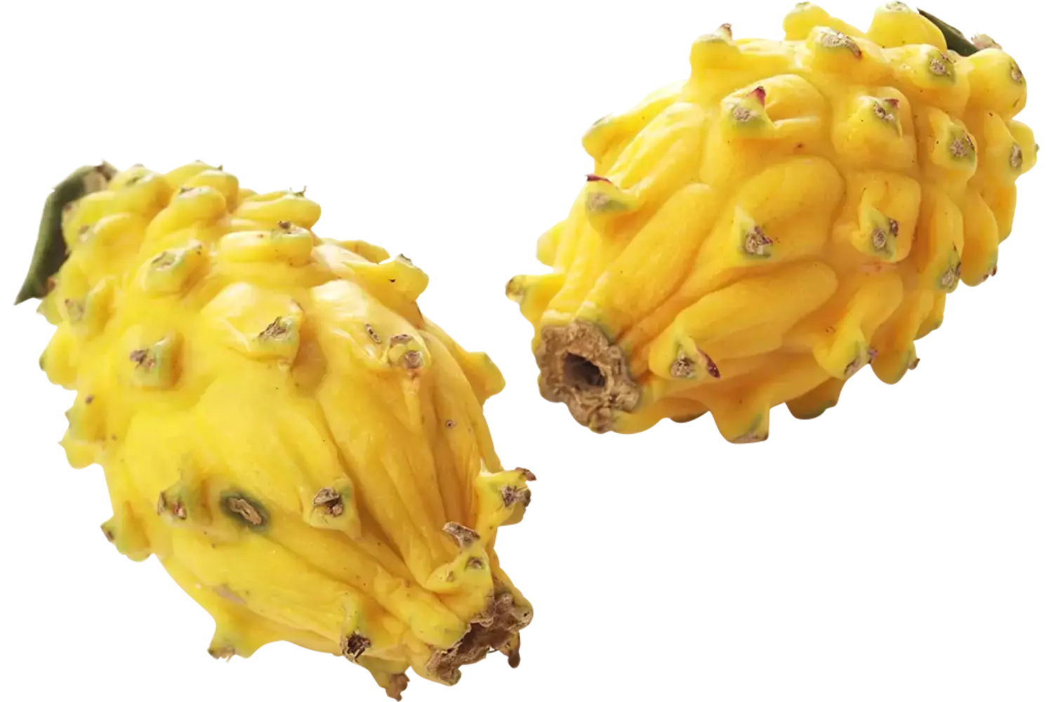 Pitahaya geel stuk 1