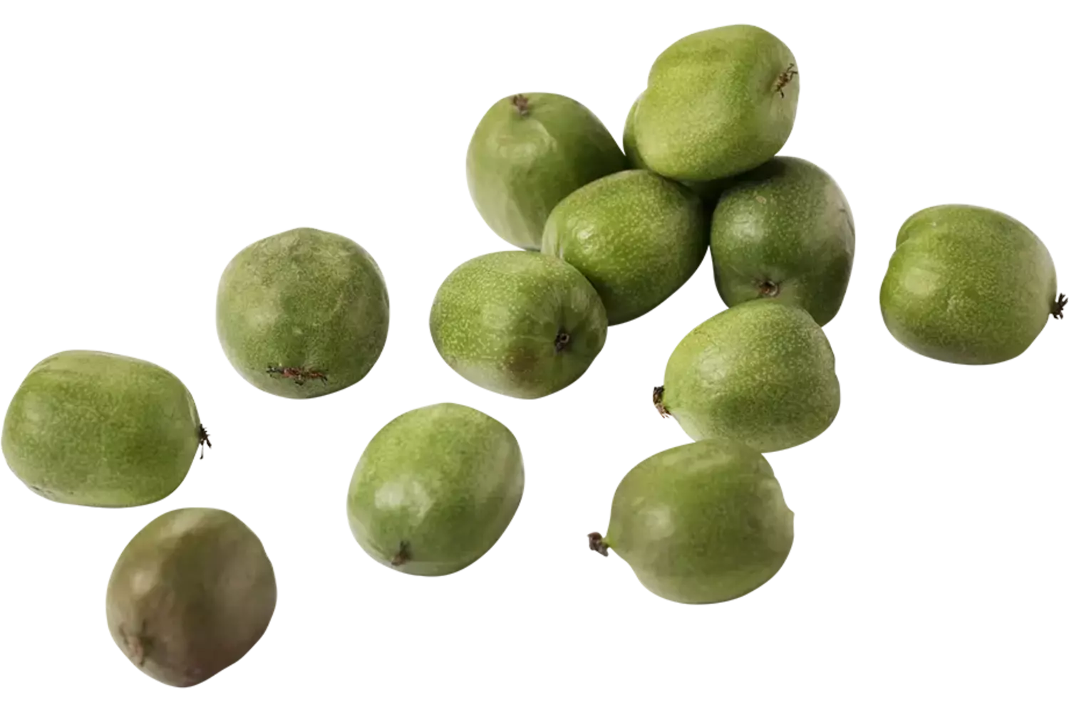 Kiwiberries 125gr stuk 1