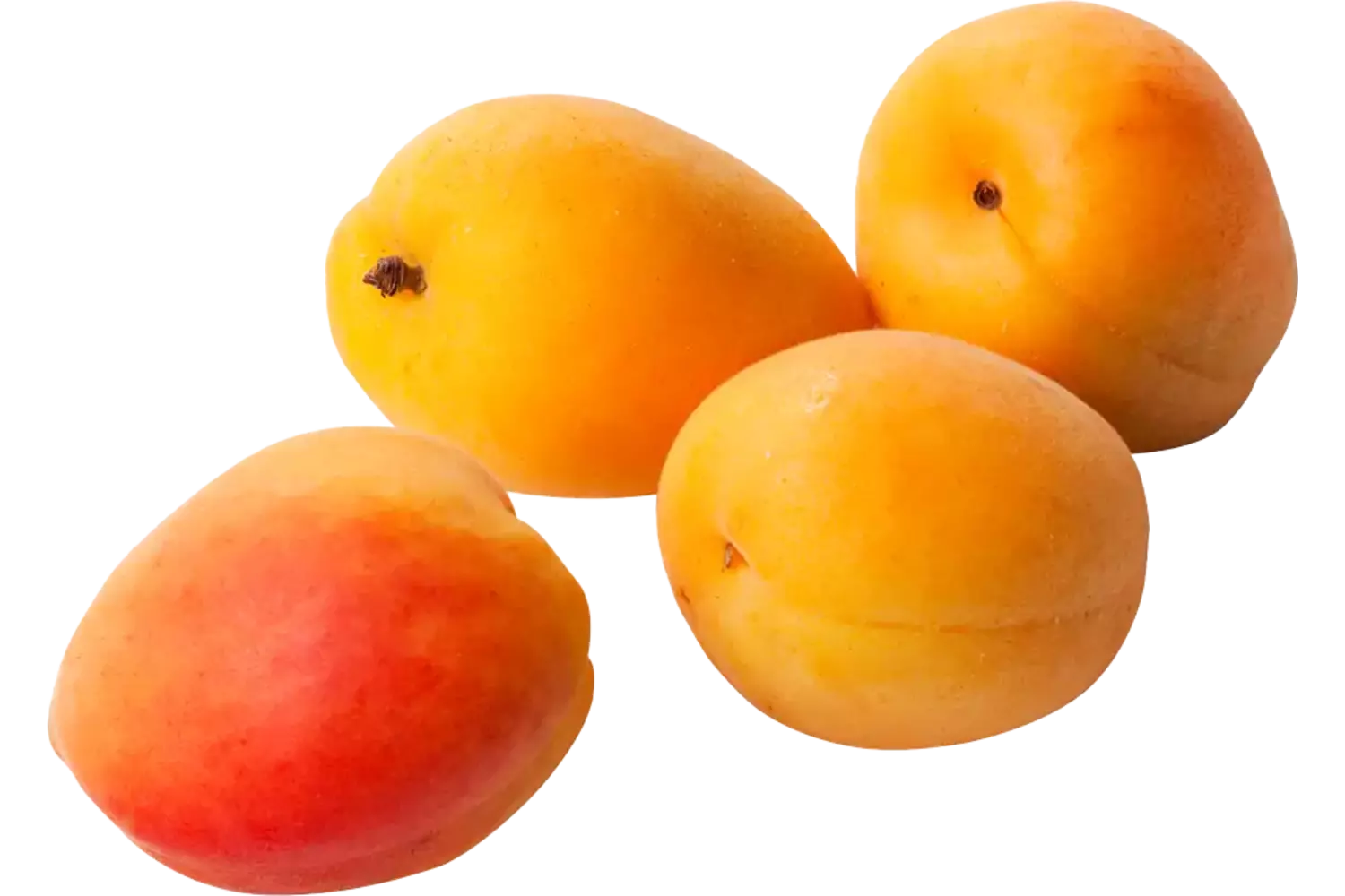 Abrikozen verpakt 500gr stuk 1