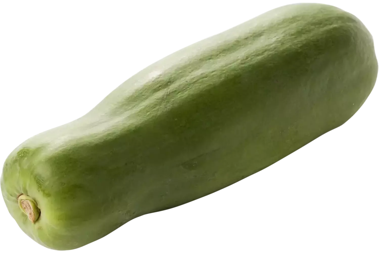 Papaya groen (kook papaya) stuk 1
