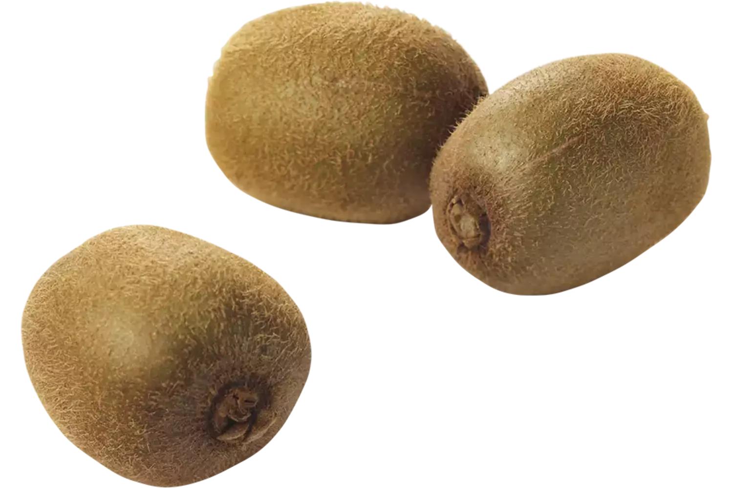 Kiwi green verpakt 1kg stuk 1