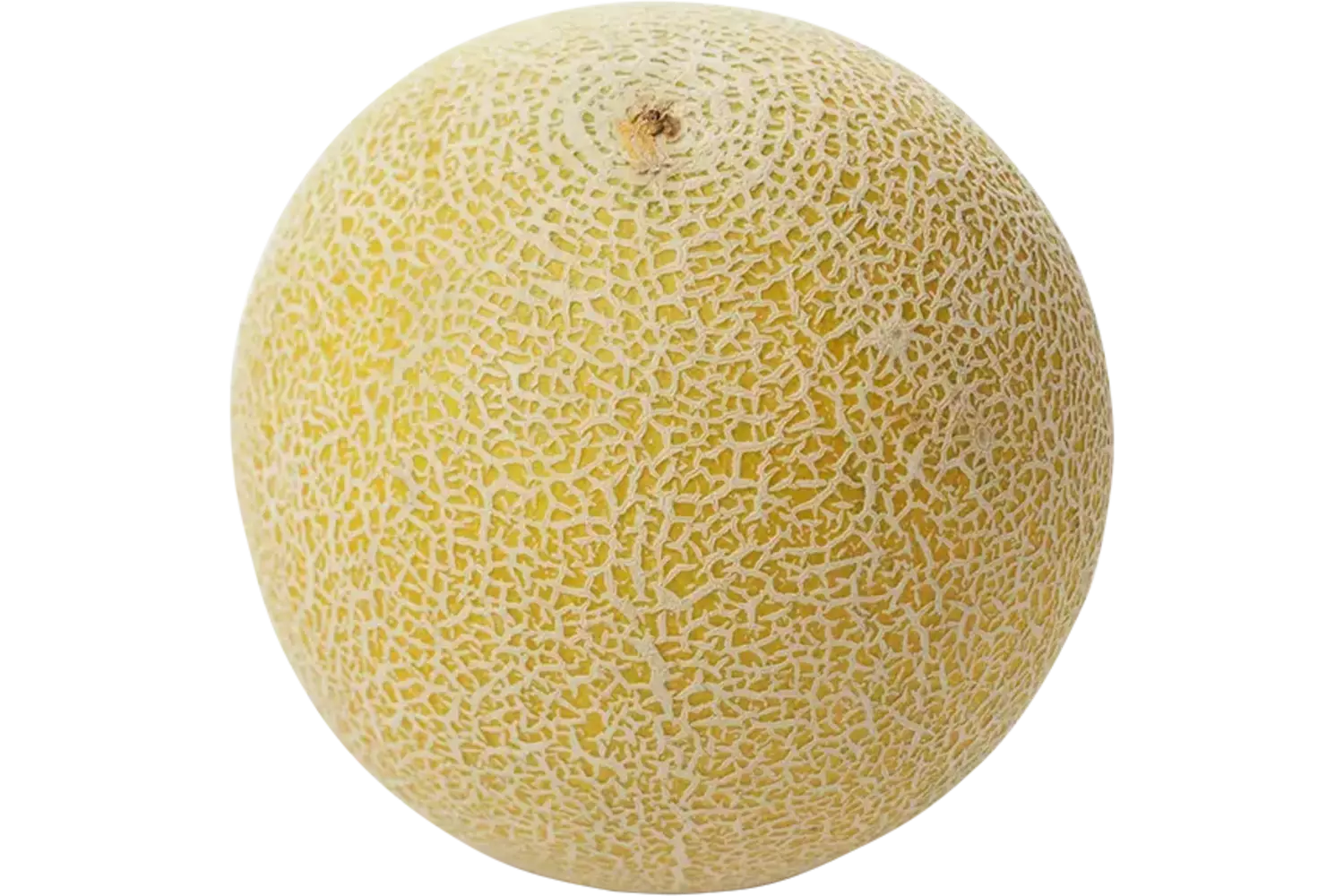 Meloen galia stuk 1