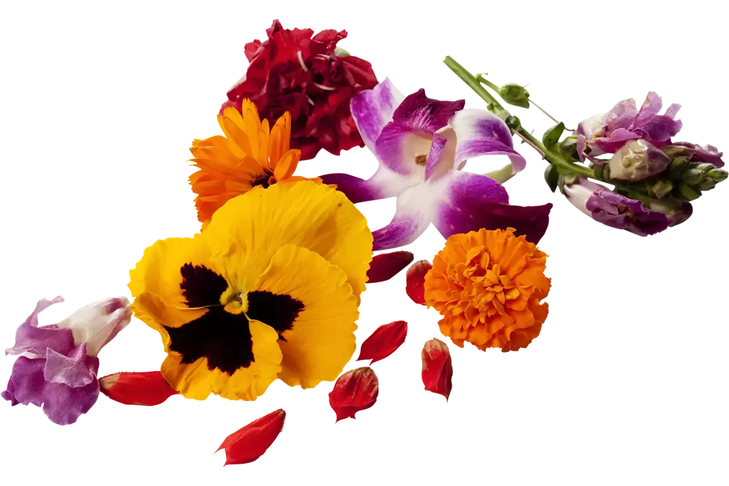 Eetbare bloem mix schaal (18-23 st.) stuk 1