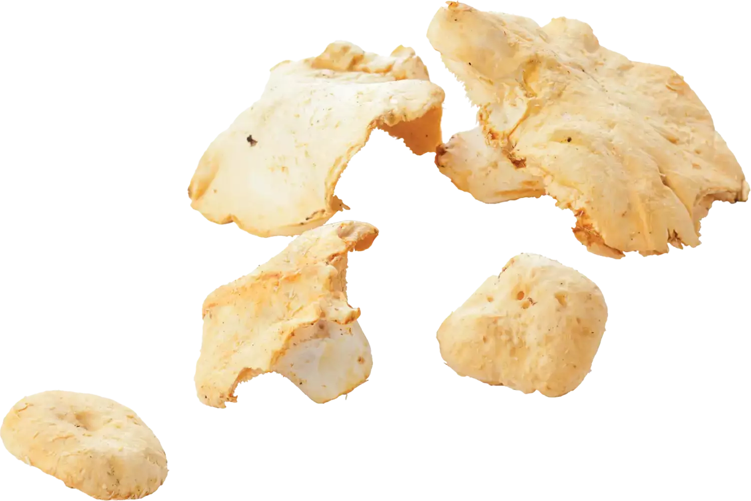 Pied de mouton doos 1kg stuk 1