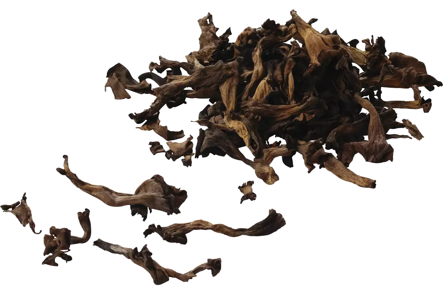 Trompette de la mort doos 1kg stuk 1