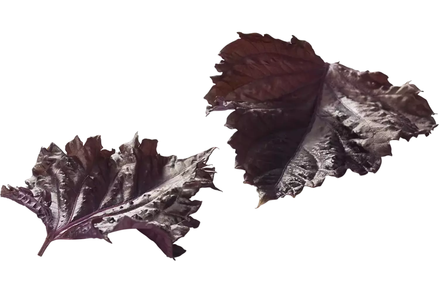 Purple leaves (15 blaadjes-schaal) stuk 1