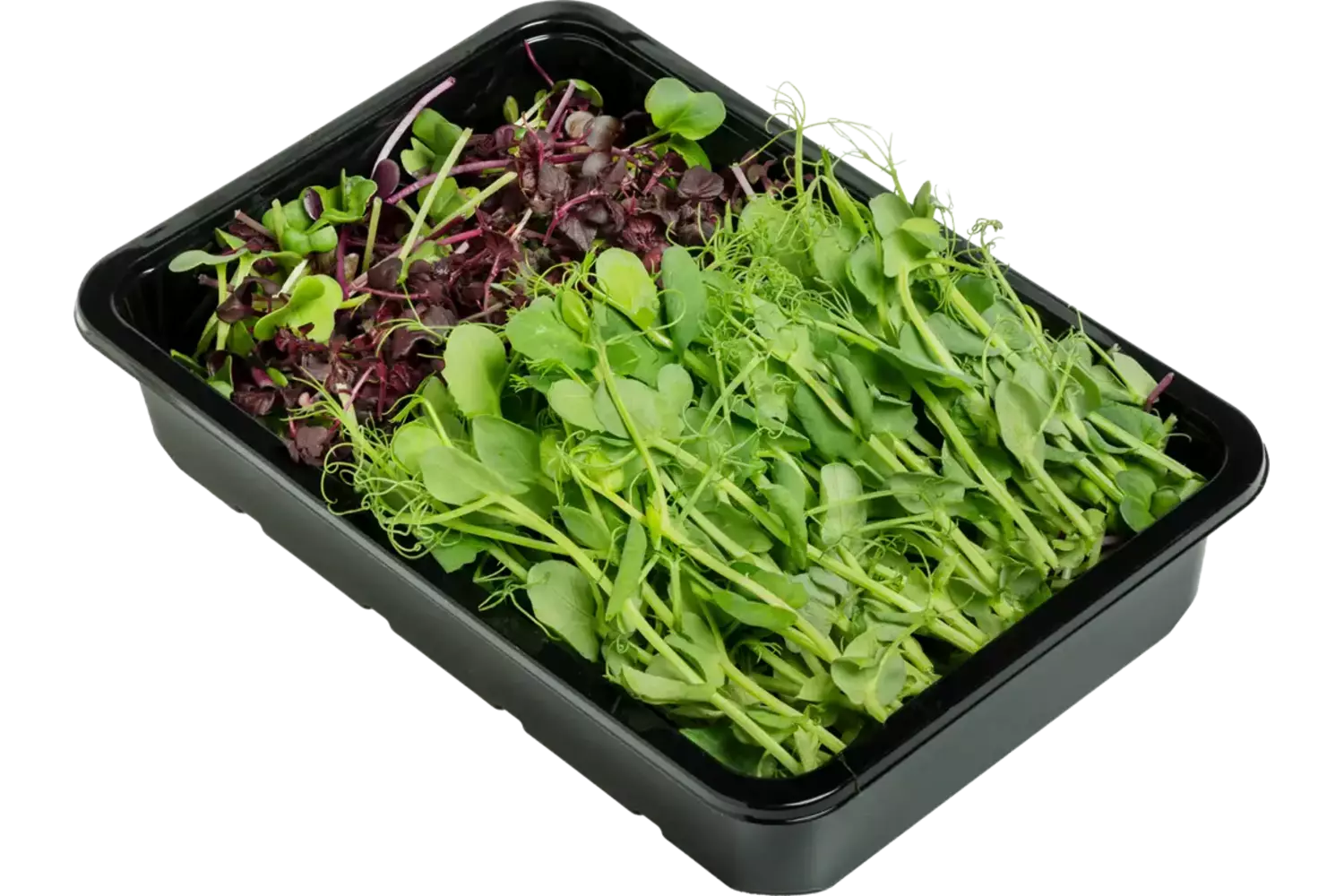 Micro leaves salad mix 30gr. stuk 2