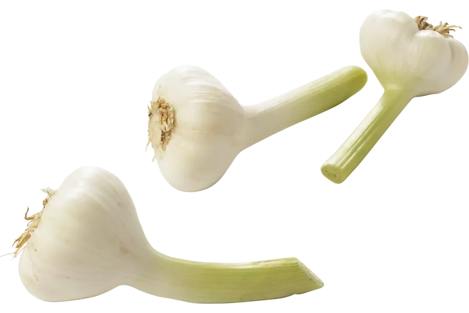 Knoflook nat (vers) verpakt 1kg stuk 1