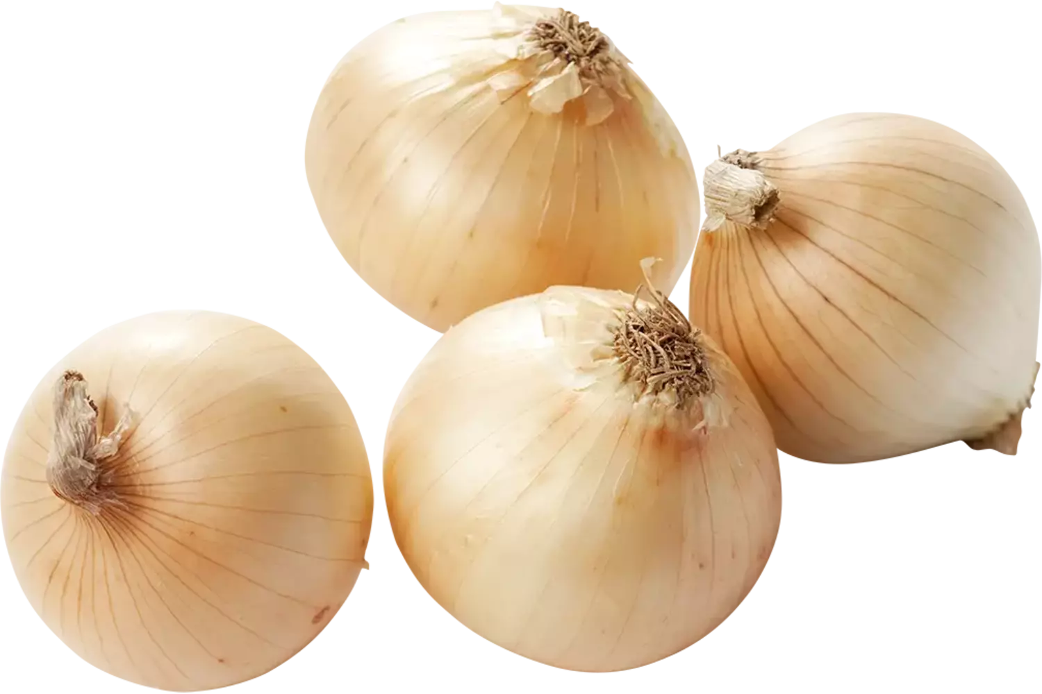 Zoete uien verpakt 1kg stuk 1