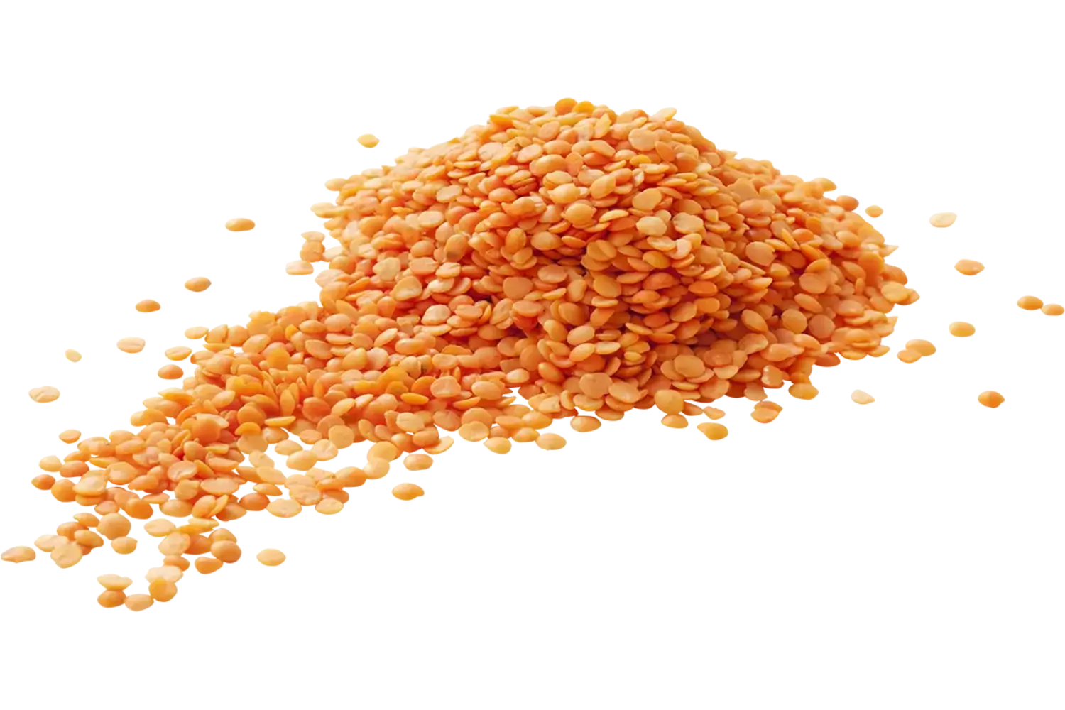 Rode Linzen 500gr stuk 1