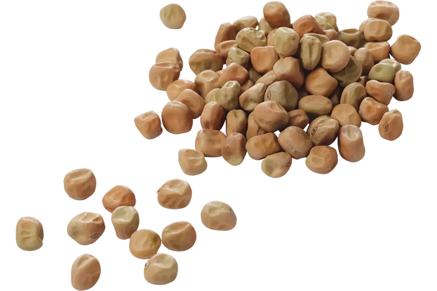 Capucijners 500gr stuk 1