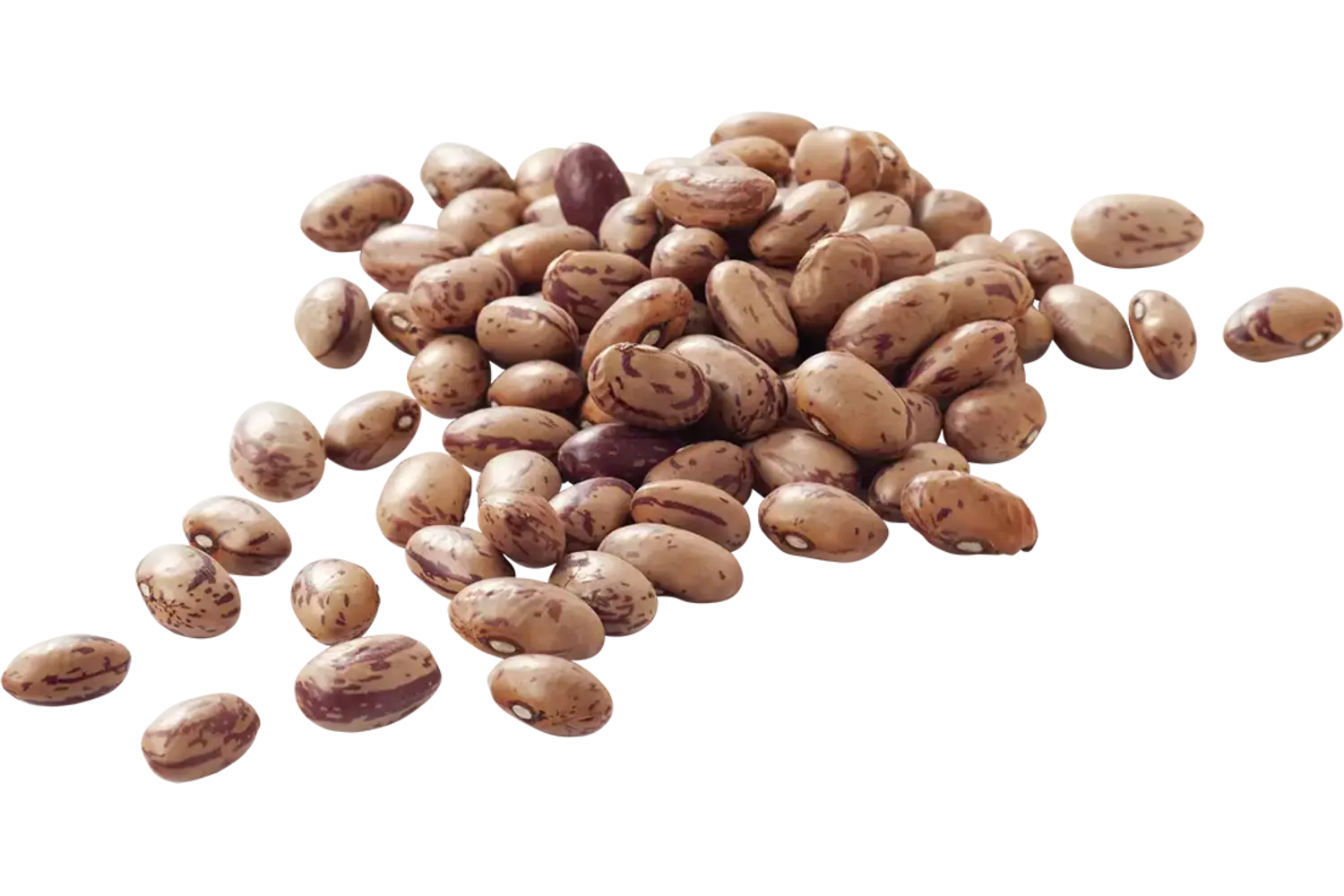 Kievitsbonen (Borlotti bonen) 500gr stuk 1