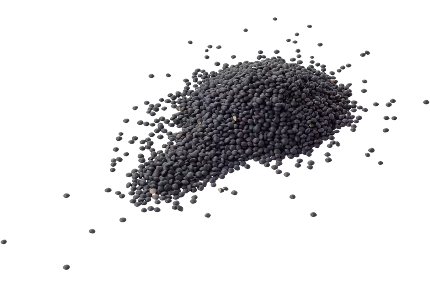 Beluga linzen 500gr stuk 1
