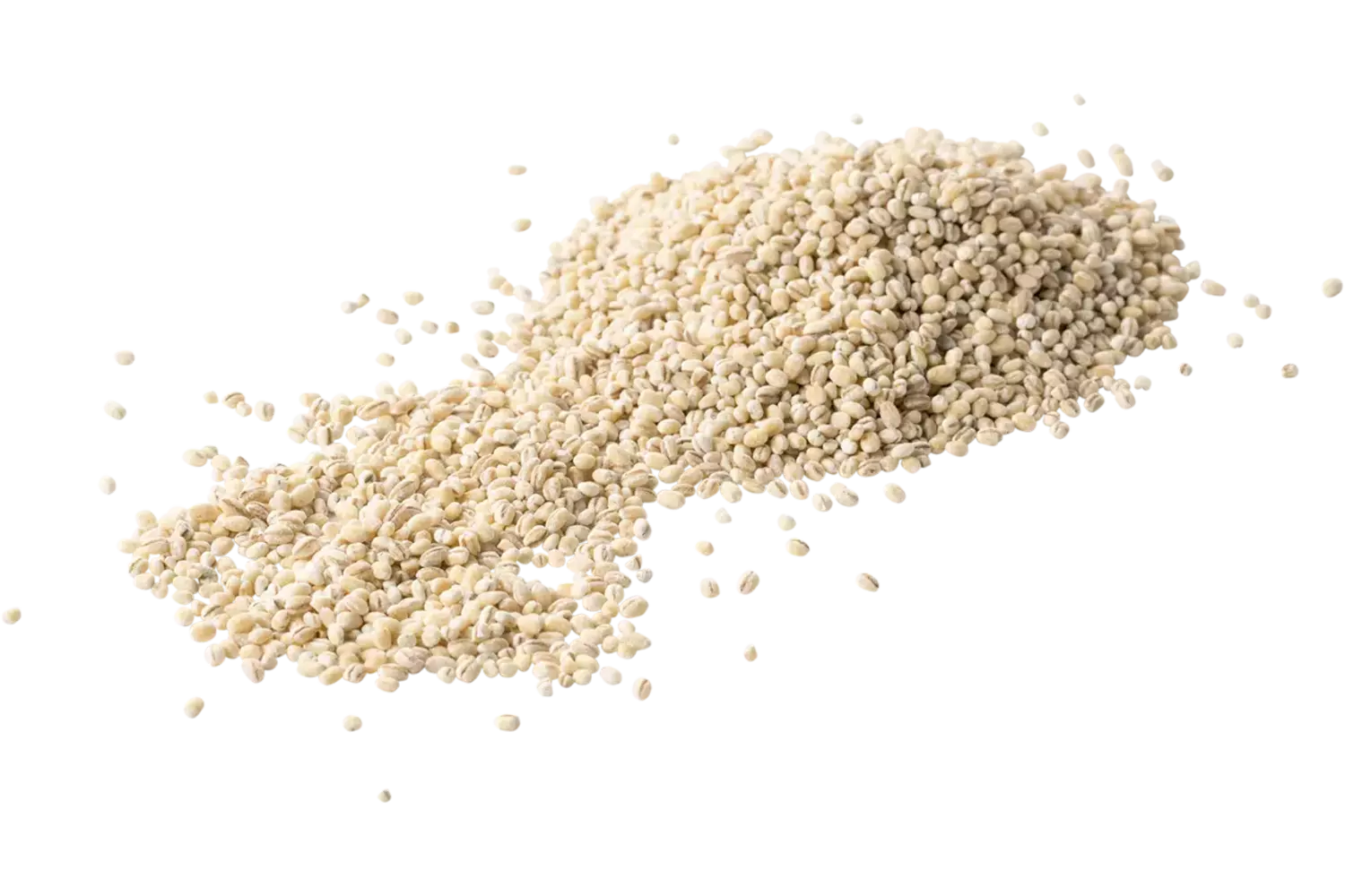 Parel gort 450gr stuk 1