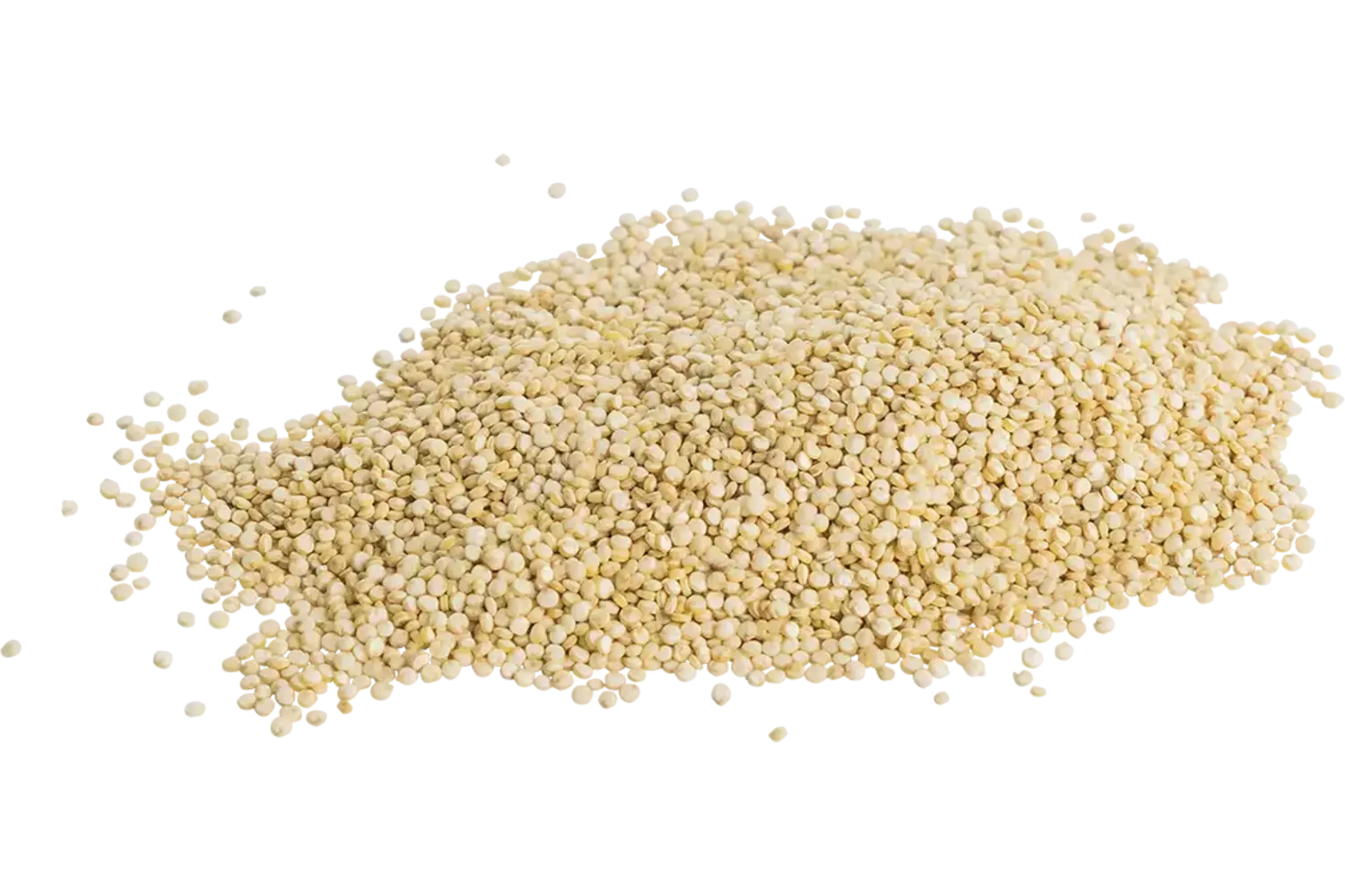 Quinoa 500gr stuk 1