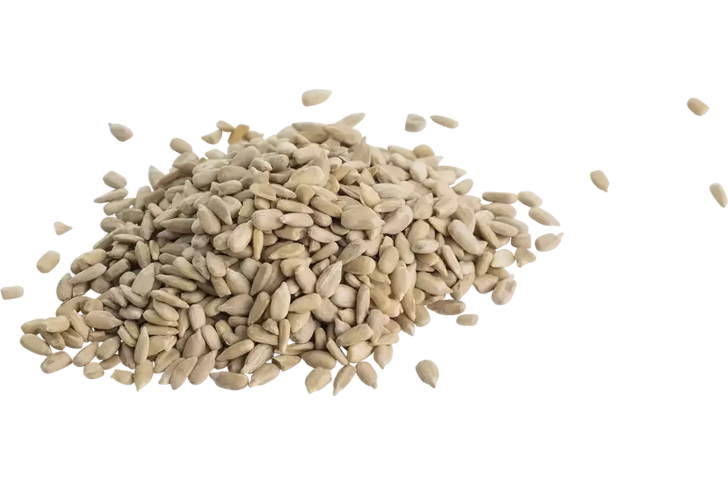Zonnebloempitten 1kg stuk 1