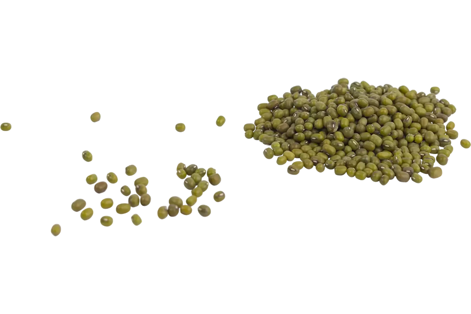 Mungbonen 1500 gram stuk 1