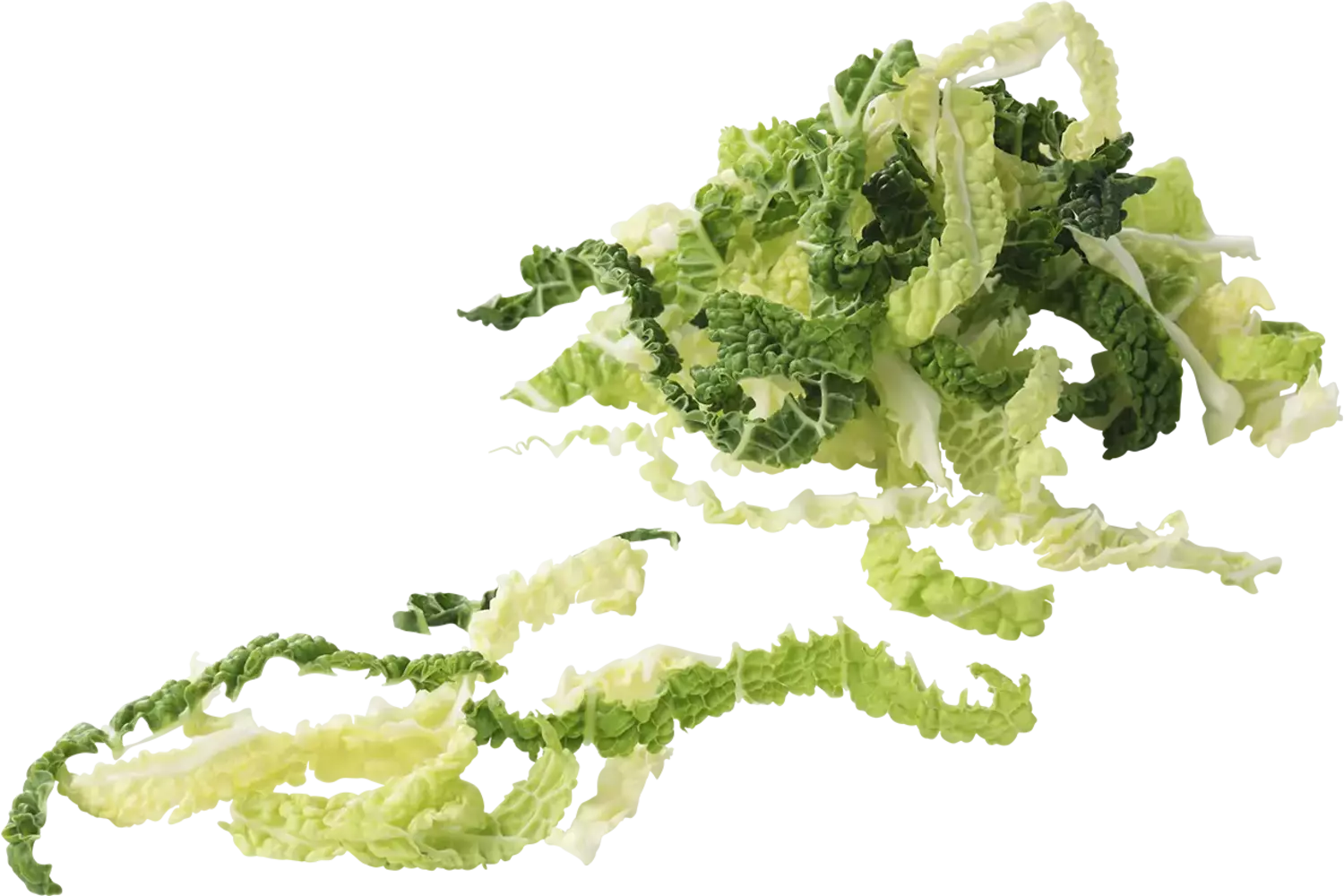 Groene kool 1x gesneden 1kg stuk 1