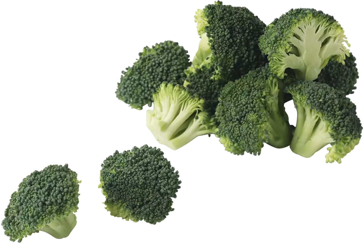 Broccoli roosjes 15-30mm 1kg stuk 1