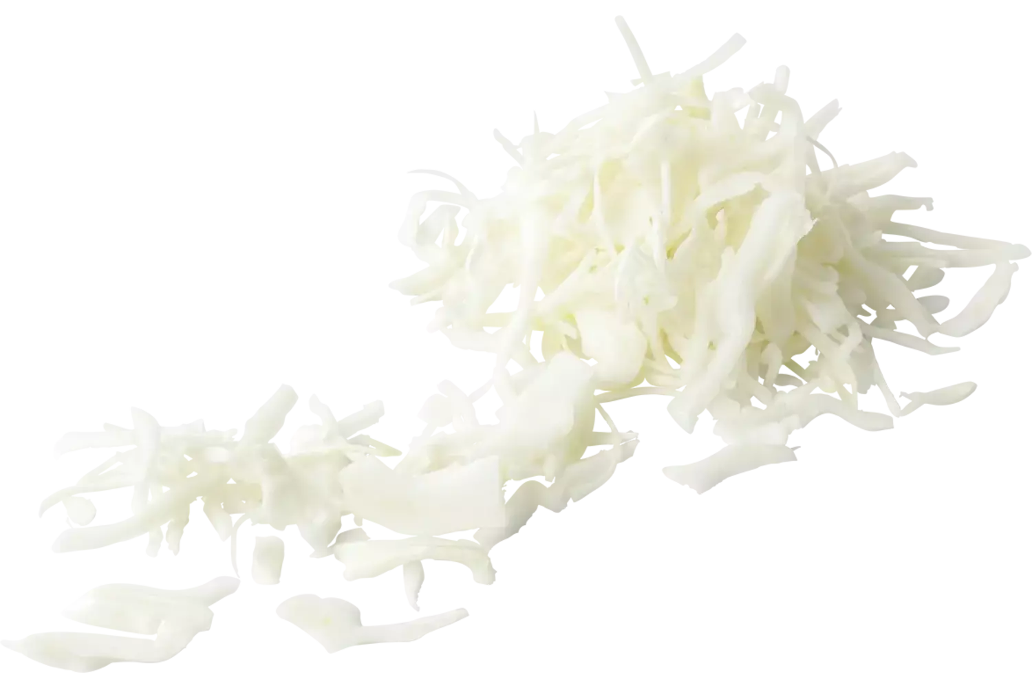 Witte kool 1x gesneden 1kg stuk 1