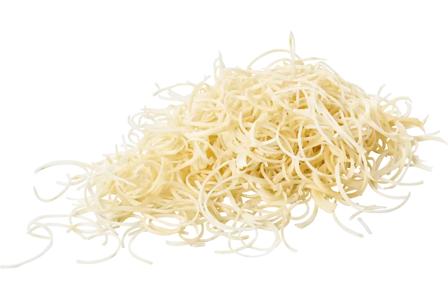 Pastinaken spaghetti bak 400gr stuk 1
