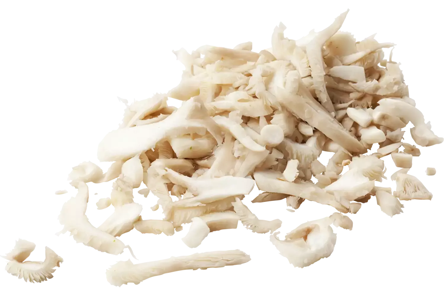 Oesterzwam gesneden zak 1kg stuk 1