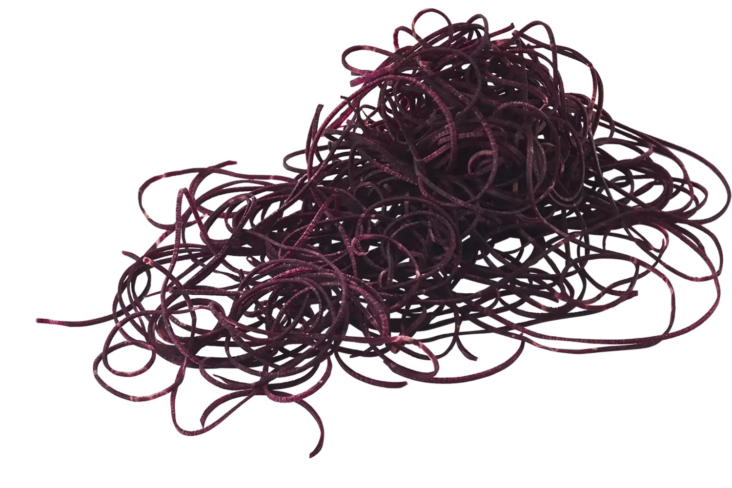 Winterpeen zwart spaghetti bak 400gr stuk 1