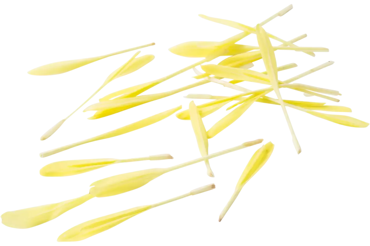 Popcorn Shoots 30gr. stuk 1