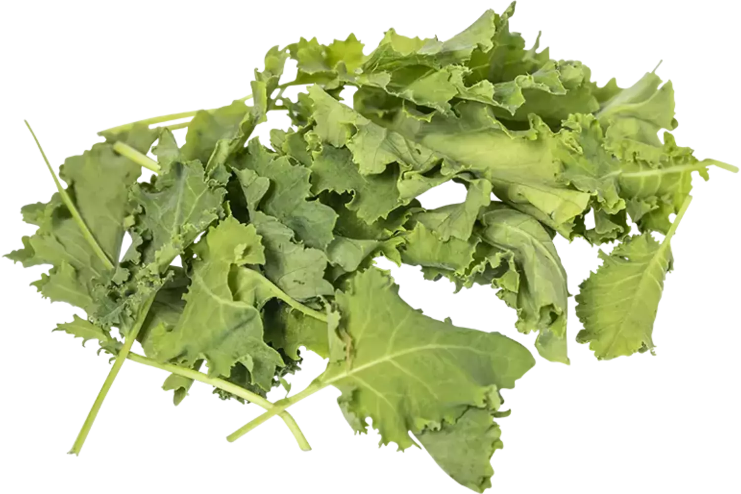 Baby green kale 125gr stuk 1