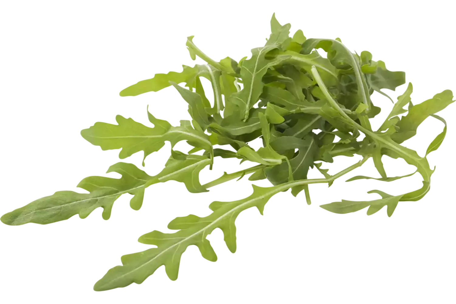 Rucola gewassen los zak 1kg per kist 1 stuk 1