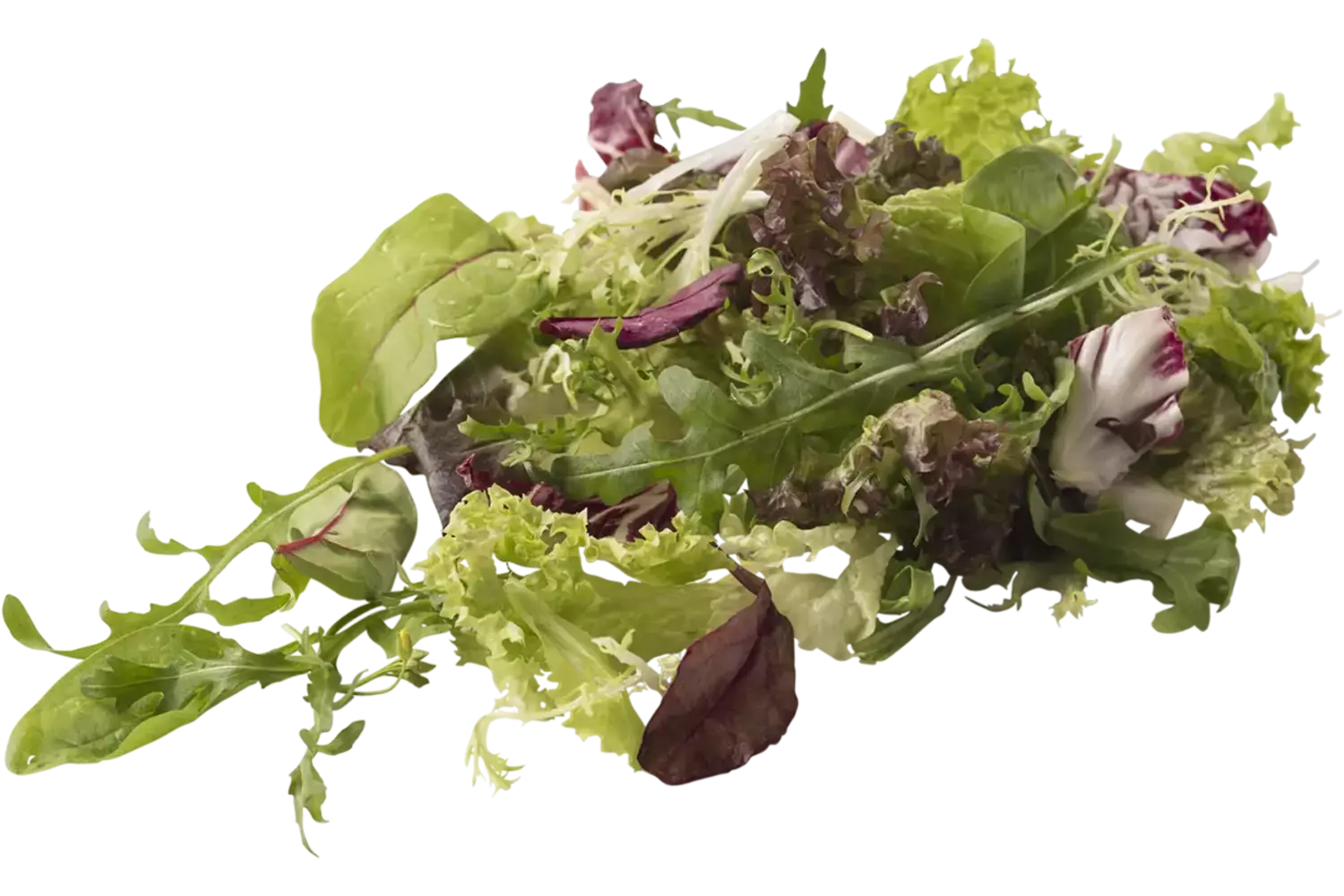 Slamix Mesclun 1kg stuk 1