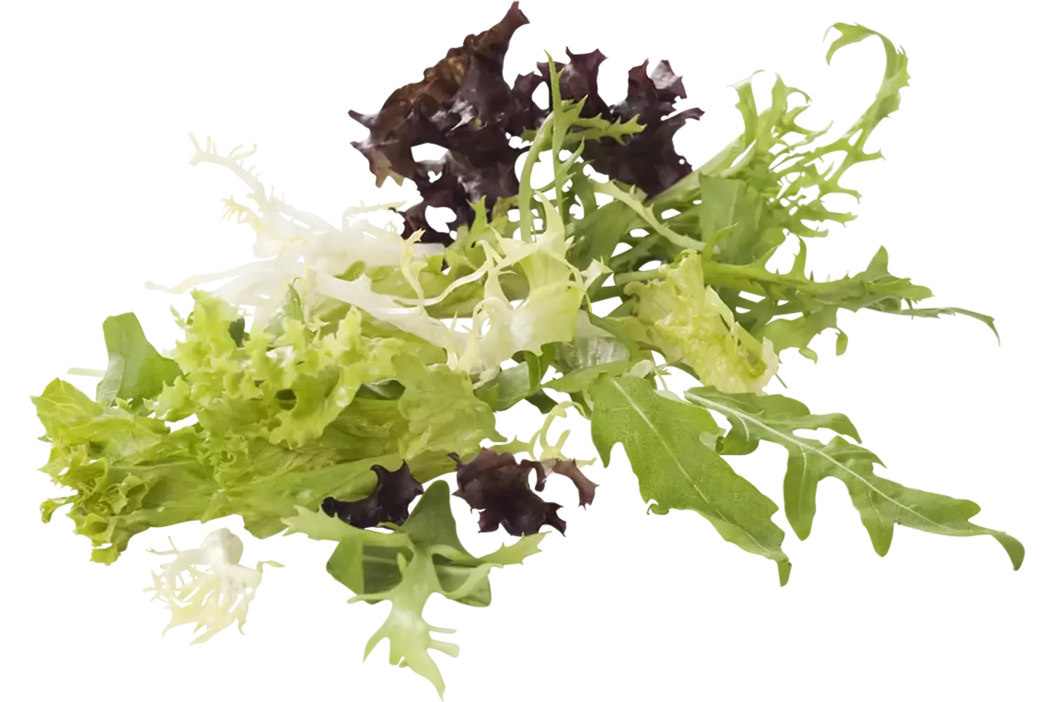 Rucola melange exclusief zak 250gr stuk 1