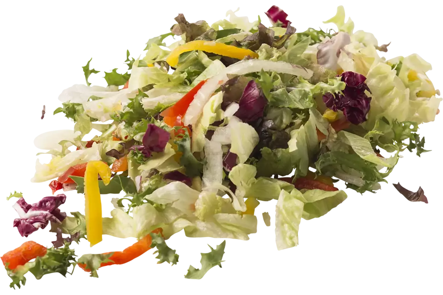 Frisee slamix zak 500gr stuk 1