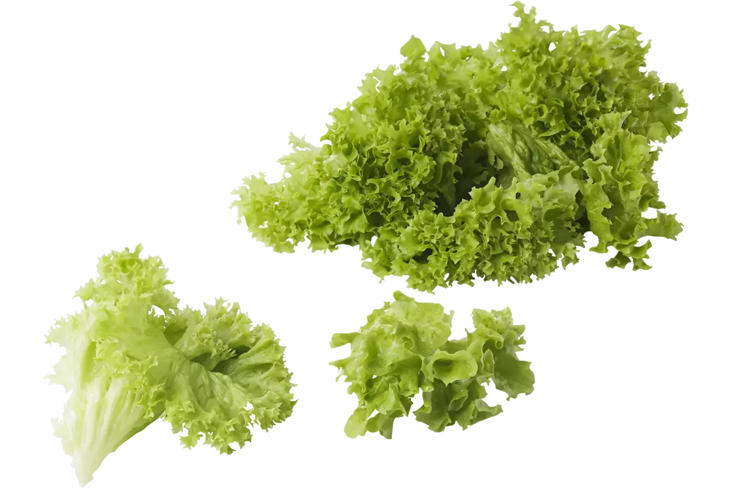 Lollo bianca gewassen zak 500gr stuk 1