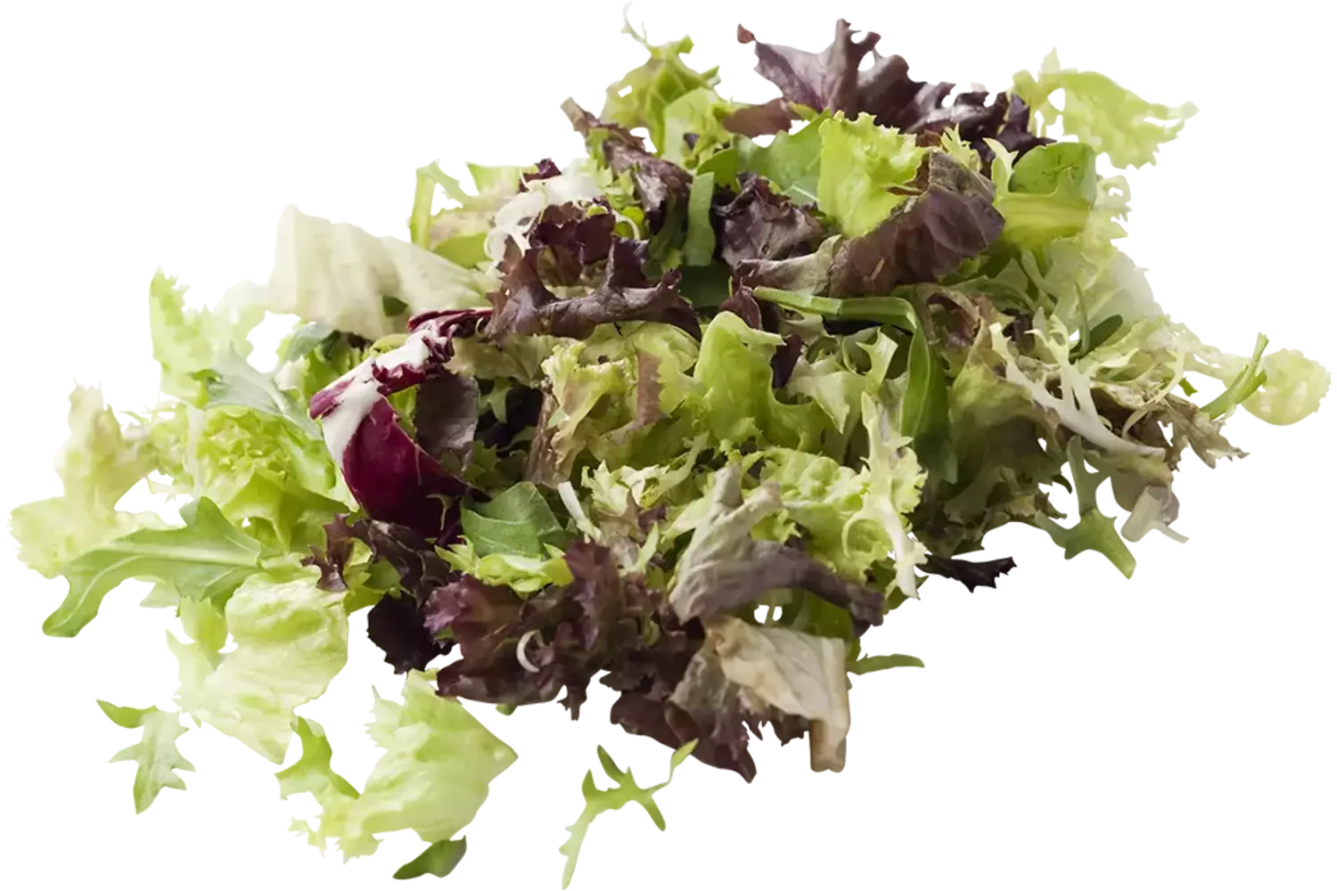 Slamix rucola zak 500gr stuk 1