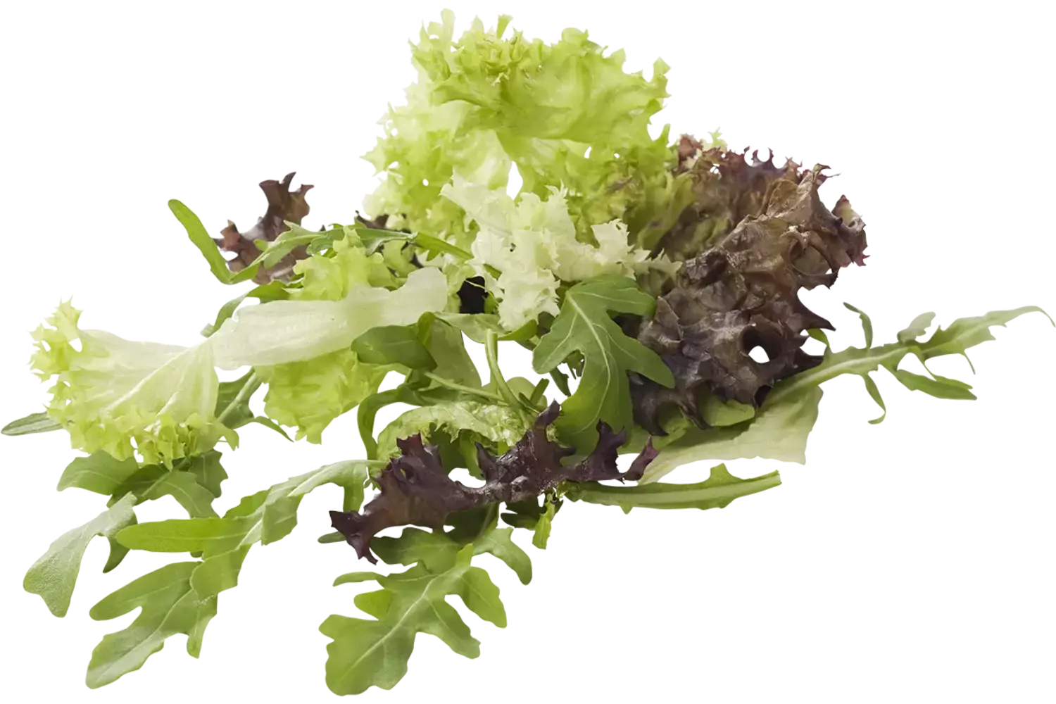 Rucola mix garnituur zak 1kg per kist 1 stuk 1