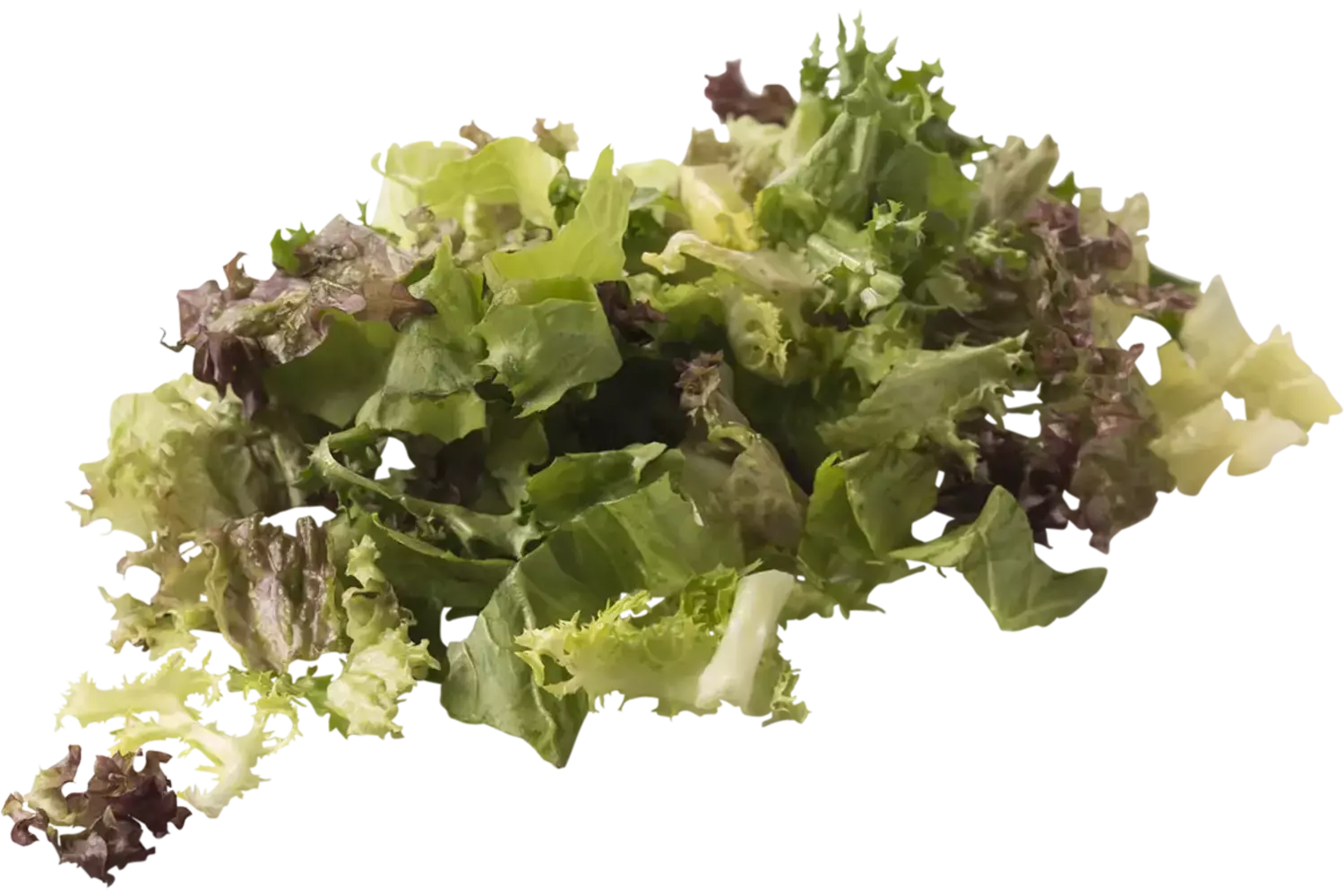 Sla speciaal zak 500gr stuk 1