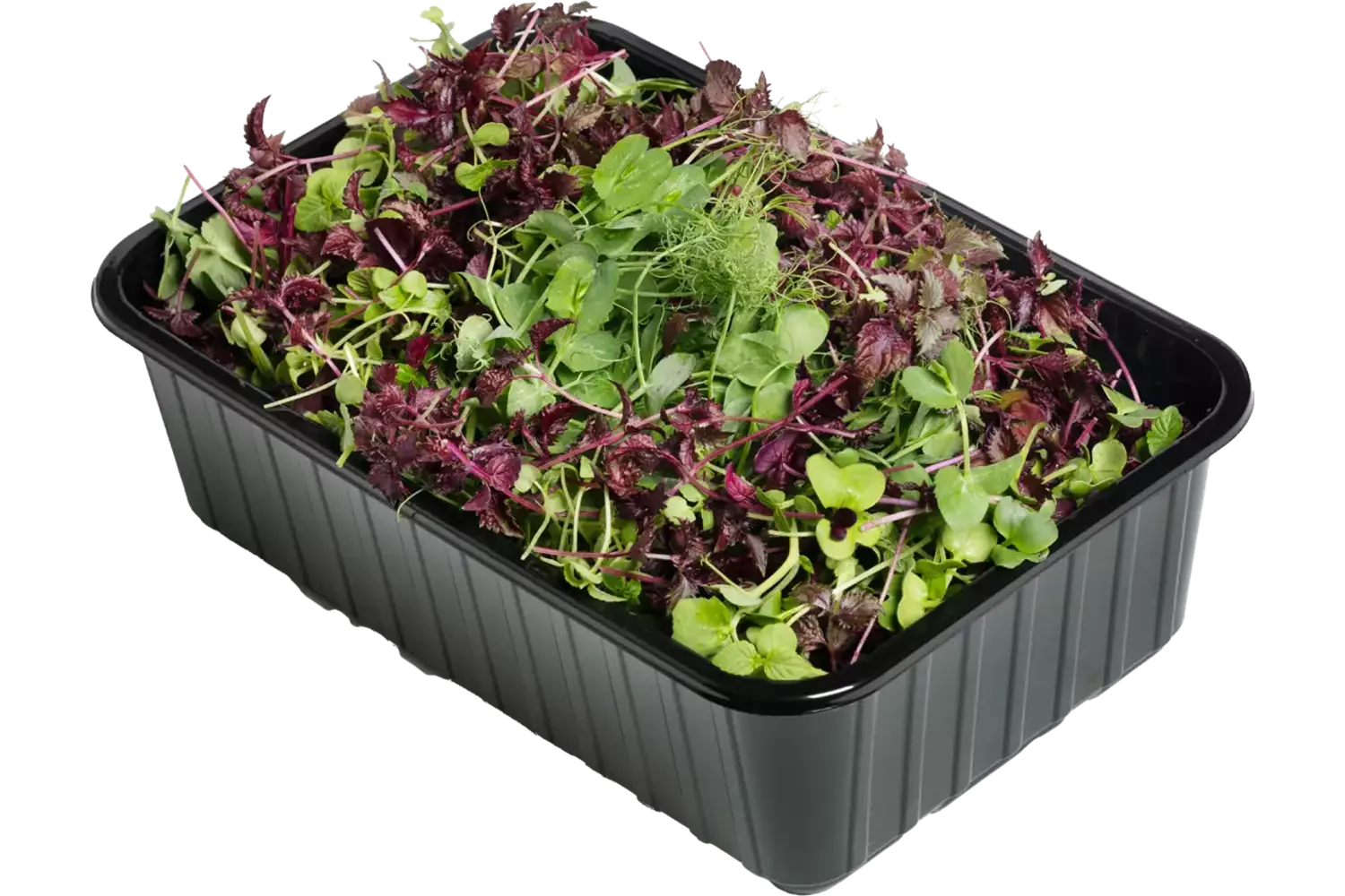 Micro leaf salad horeca mix 200gr stuk 2