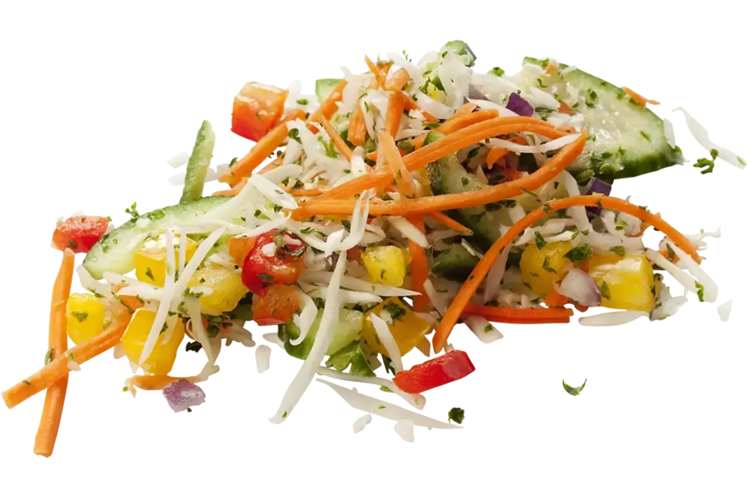 Bistro rauwkost 1kg stuk 1