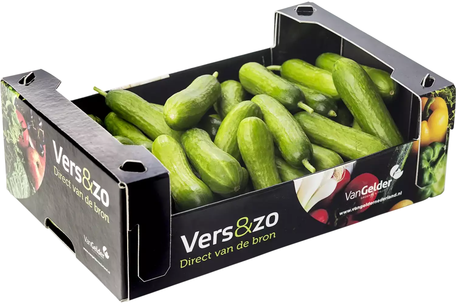 Snackkomkommer doos 1kg stuk 1