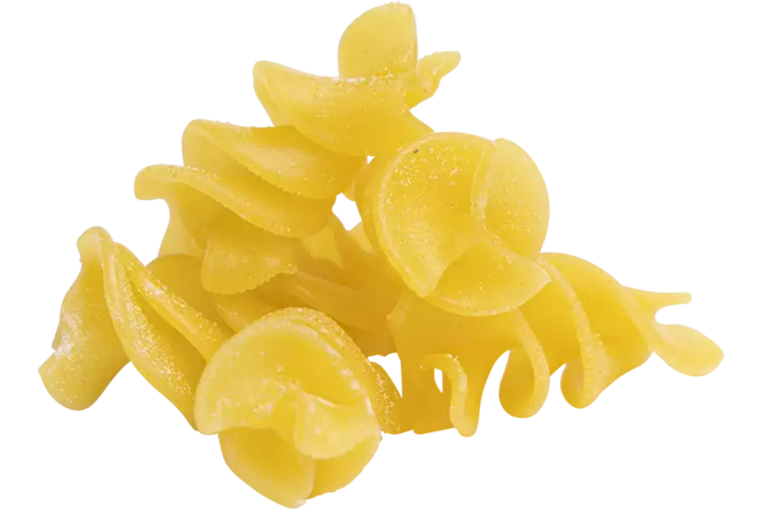 Fusilloni 1kg stuk 1