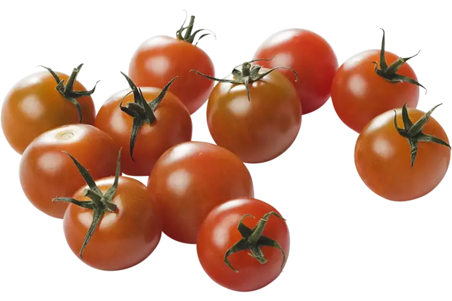BIO Tomaten cherry 250gr stuk 1