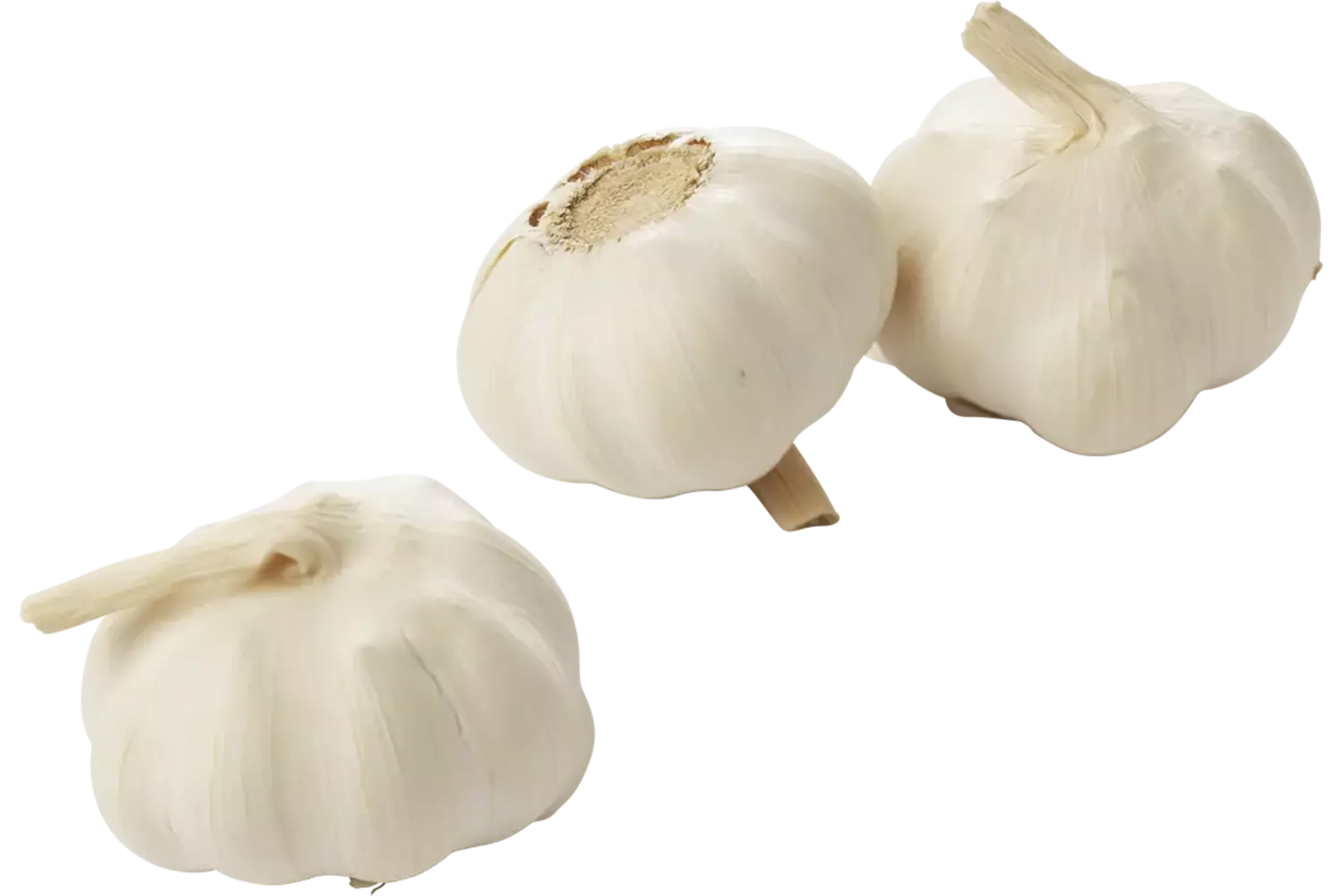 Bio knoflook verpakt 200gr stuk 1