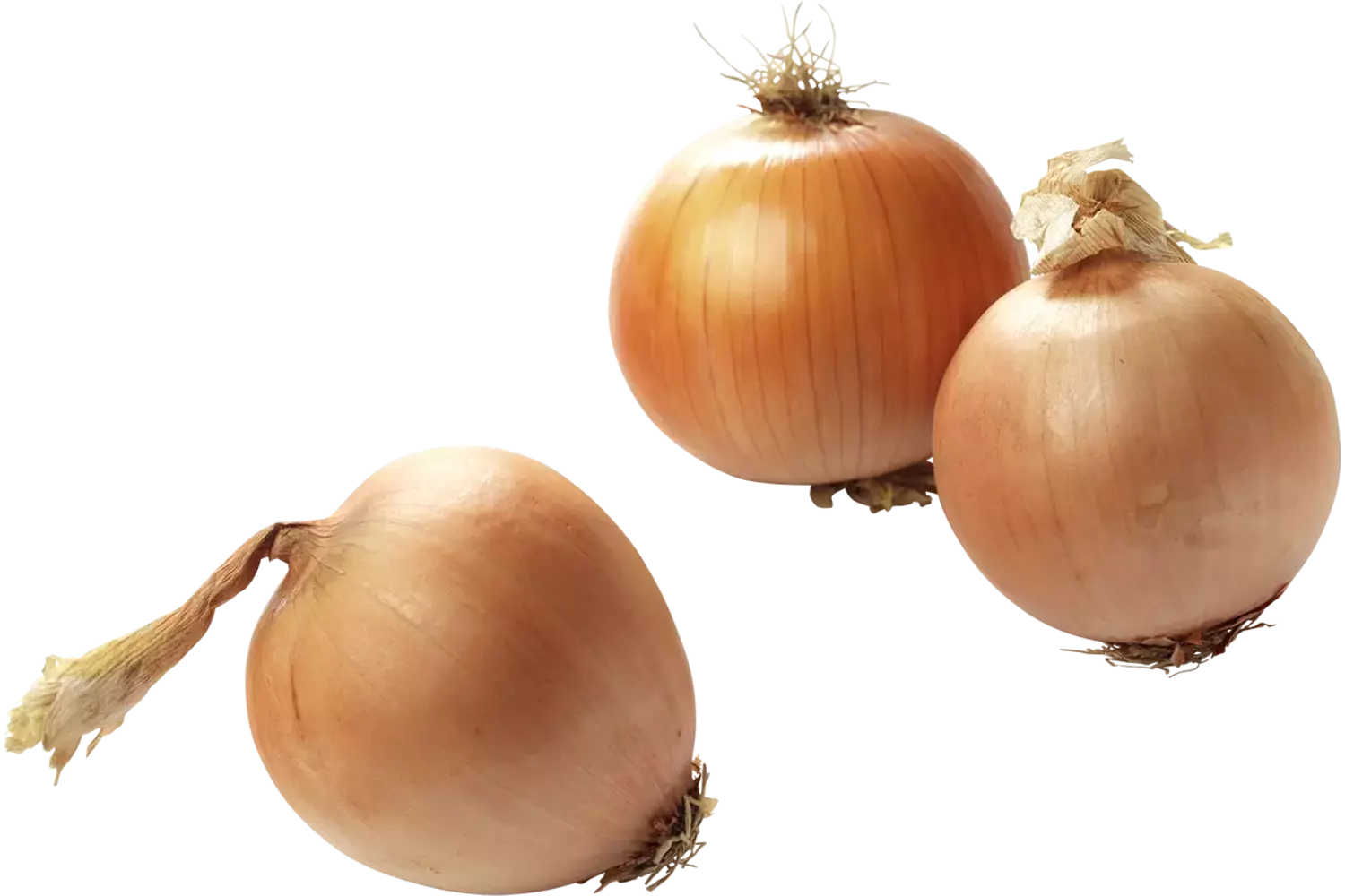 BIO Uien verpakt 750gr stuk 1