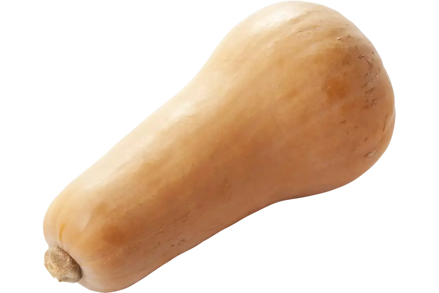 BIO Flespompoen stuk 1