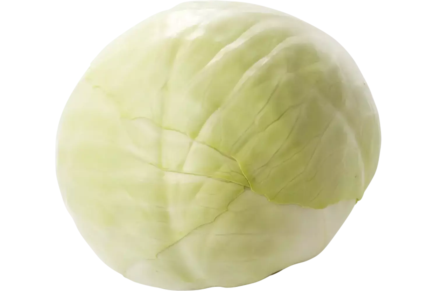 BIO Witte kool stuk 1