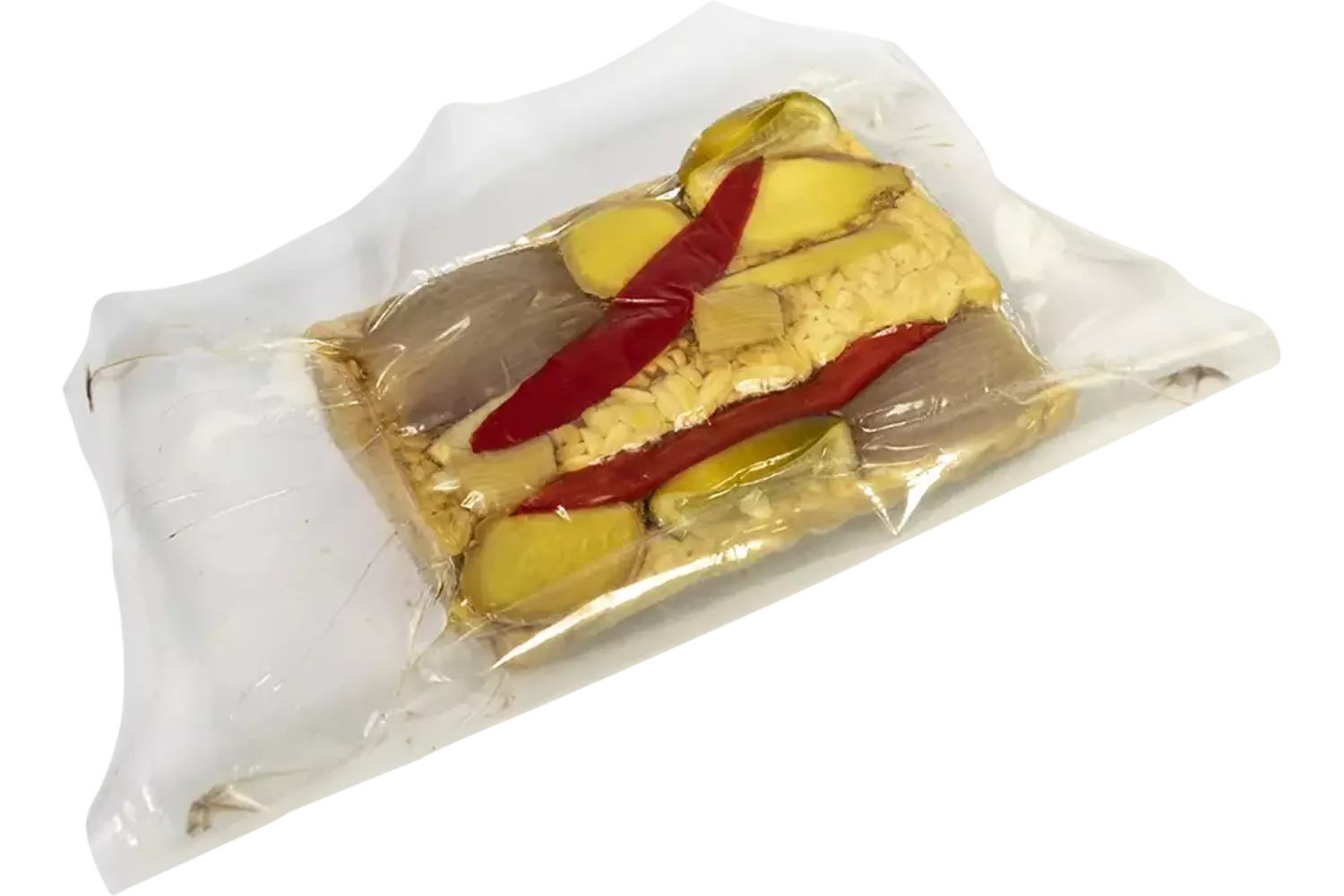 Tempeh sous-vide gegaard zak 400gr stuk 1