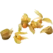 Physalis kist 12 stuks